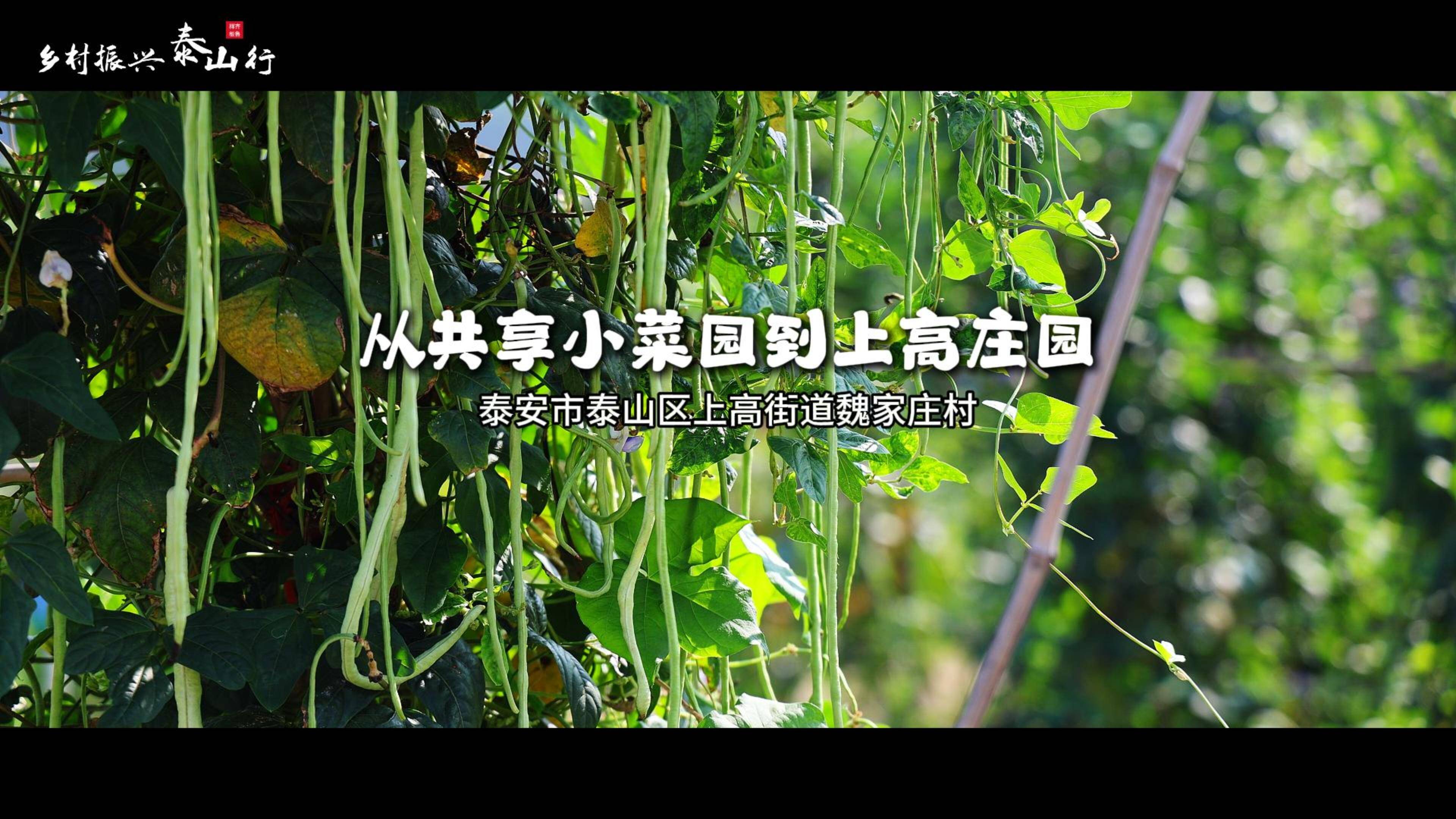 关于