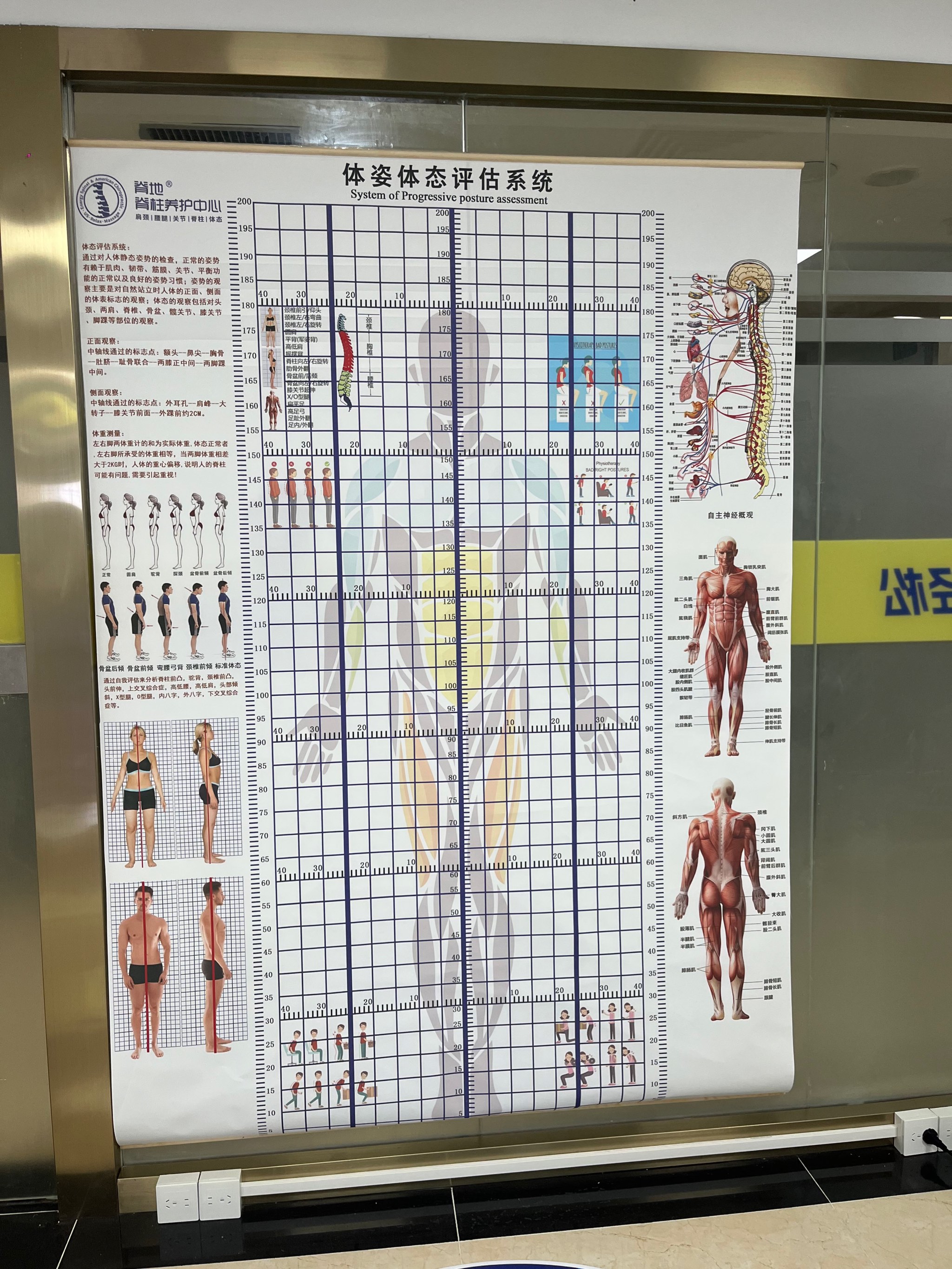 运动员心态训练：从心理学角度解析