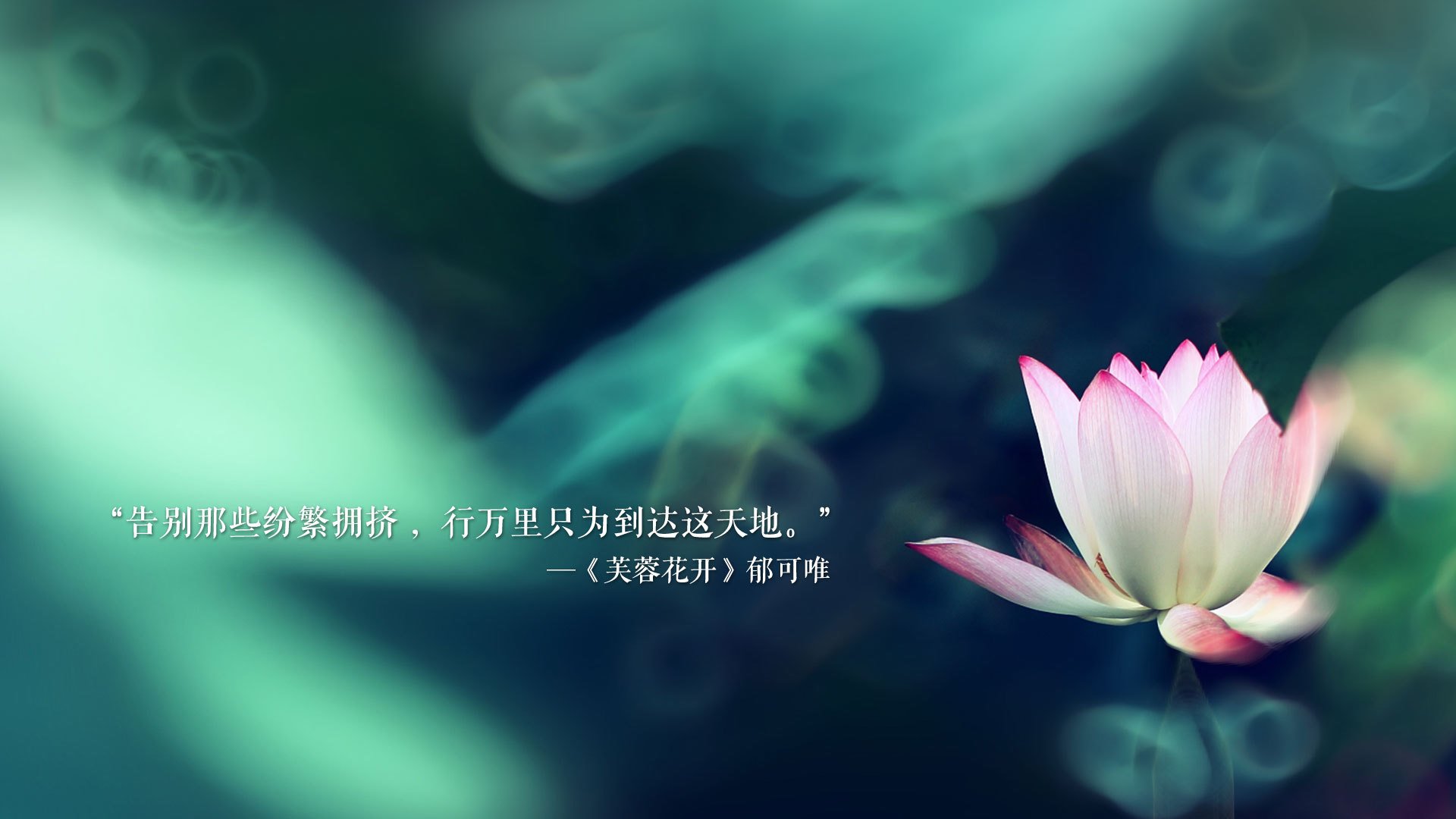 哥伦比亚女足在巴黎奥运会比赛中以2-0战胜西班牙，哥伦比亚男足队的水平
