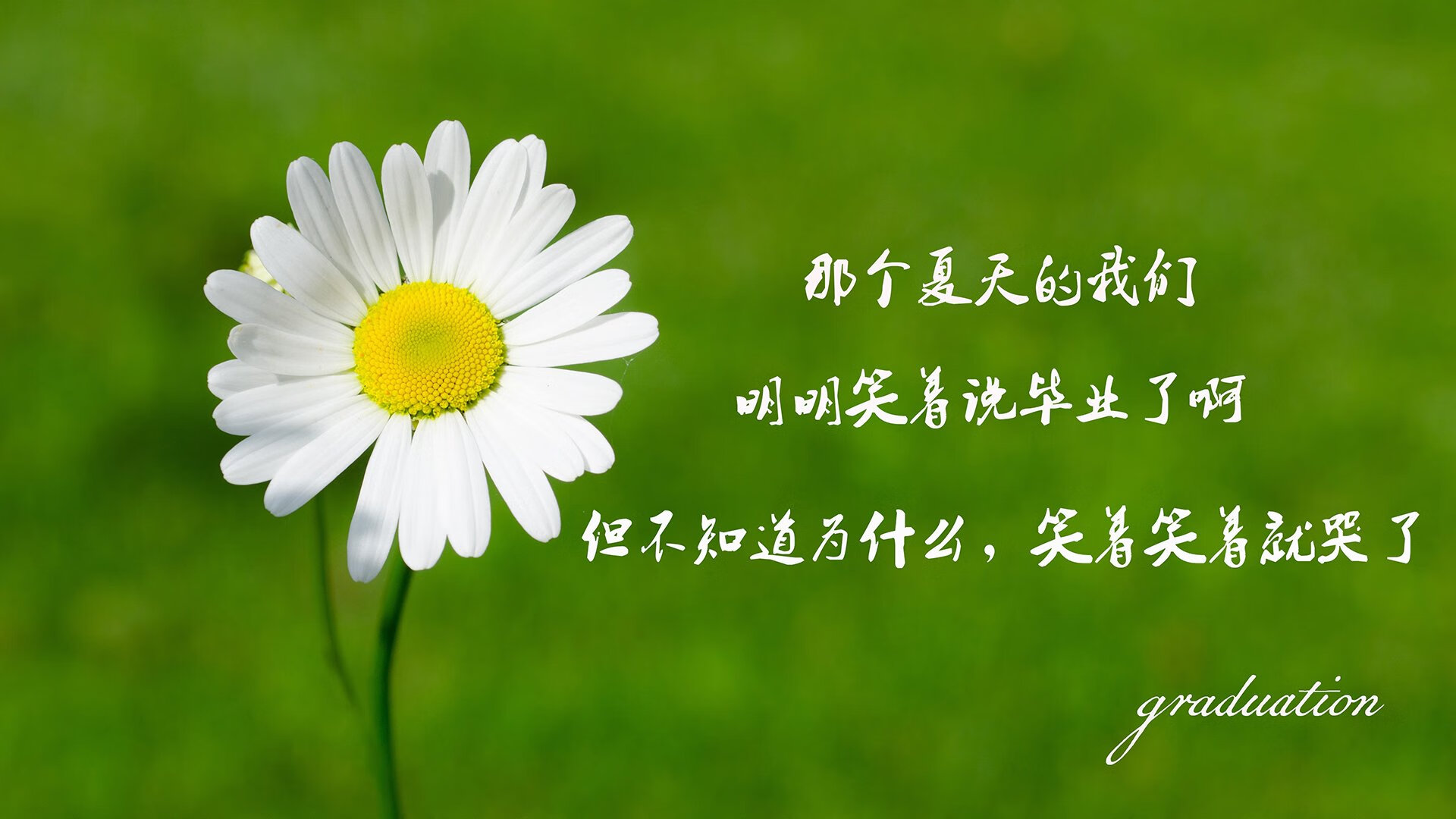 斯洛特在比赛中强调高位逼抢，增强球队压迫性，斯洛特耶斯为何退役