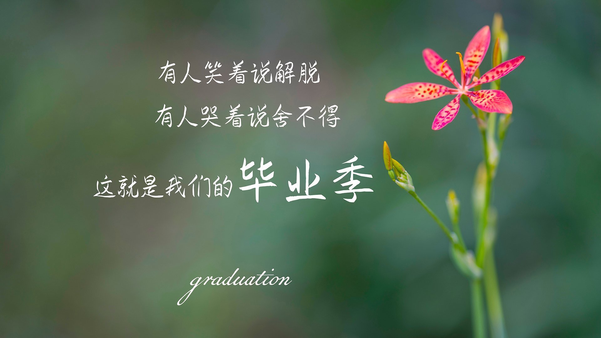 莱比锡红牛将在主场挑战法兰克福，莱比锡红牛对阵法兰克福