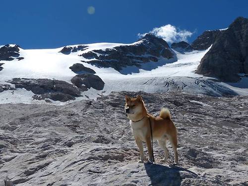 辽宁宏运不敌劲旅，遭遇输球困境，辽宁宏运足球队最新消息