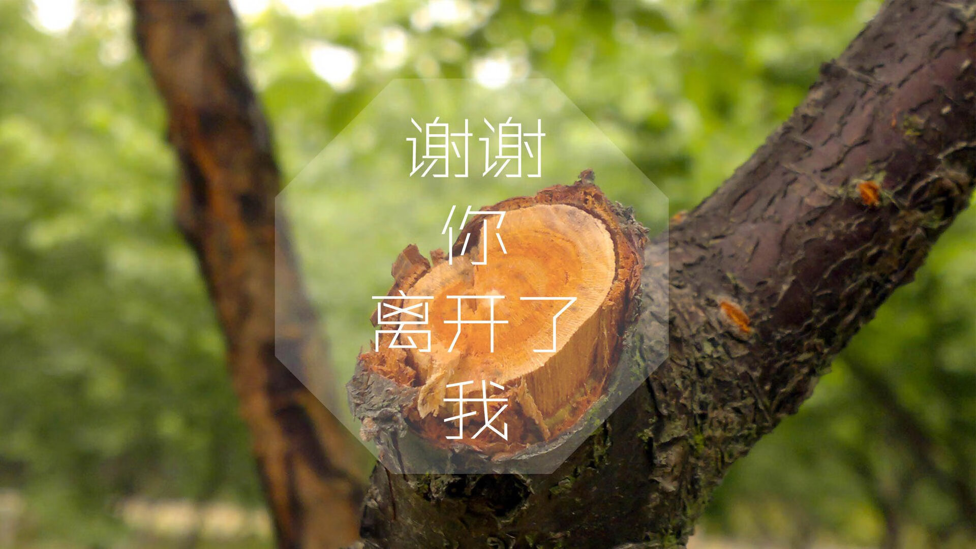 西甲比赛密集期球员疲劳监测与恢复策略研究，西甲球迷入场