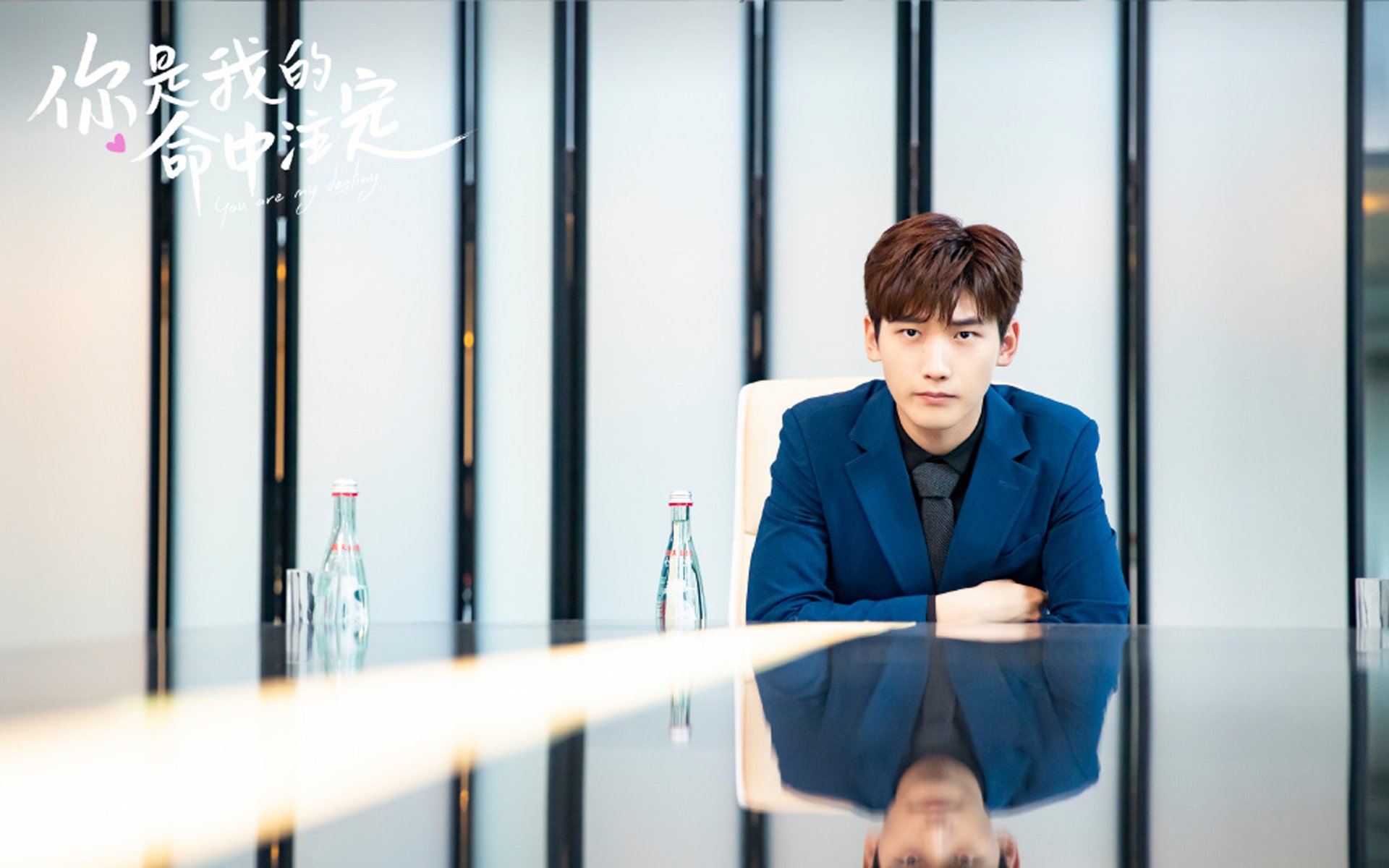 公牛组织球员视频学习经典比赛片段,公牛的球队