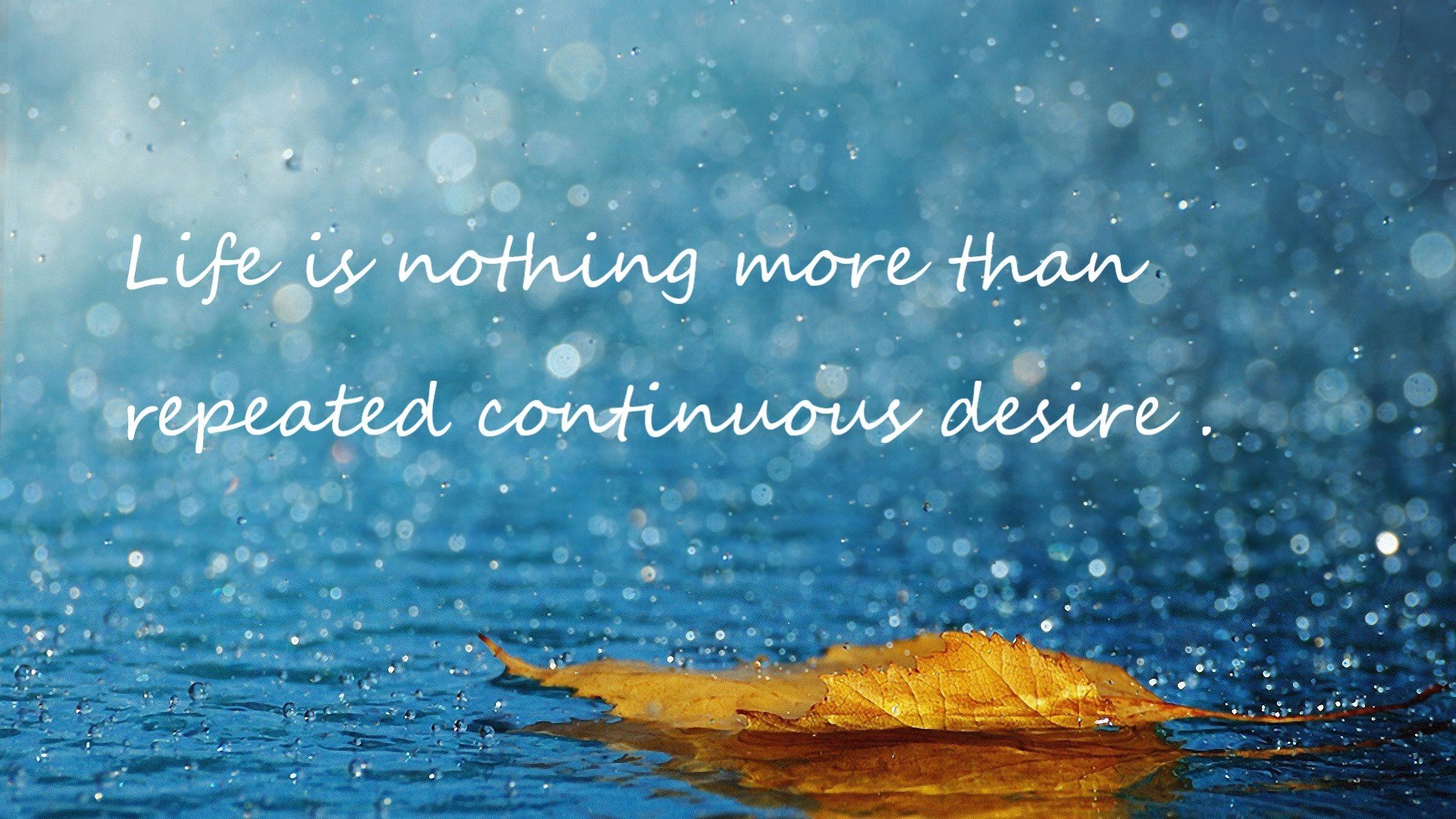 巴特尔的强力拦截为袋鼠队赢得关键比赛中的优势,巴特尔的替补