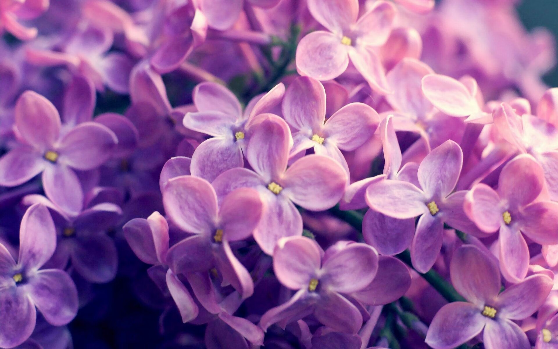 巴特尔的防守反应与准确判断，助袋鼠队化解攻势，nba巴特尔