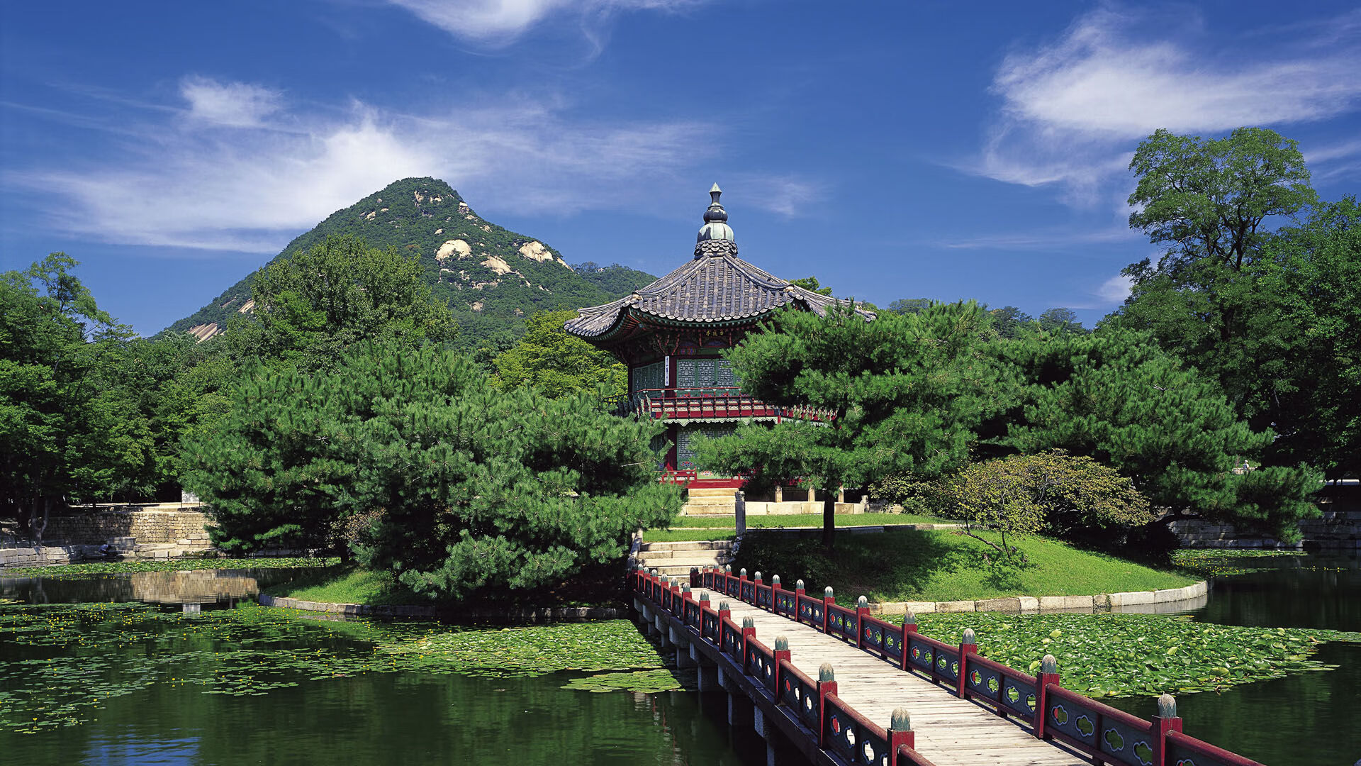 赞比亚男篮在非洲预赛中拼搏激烈,赢得行业关注,赞比亚 男足