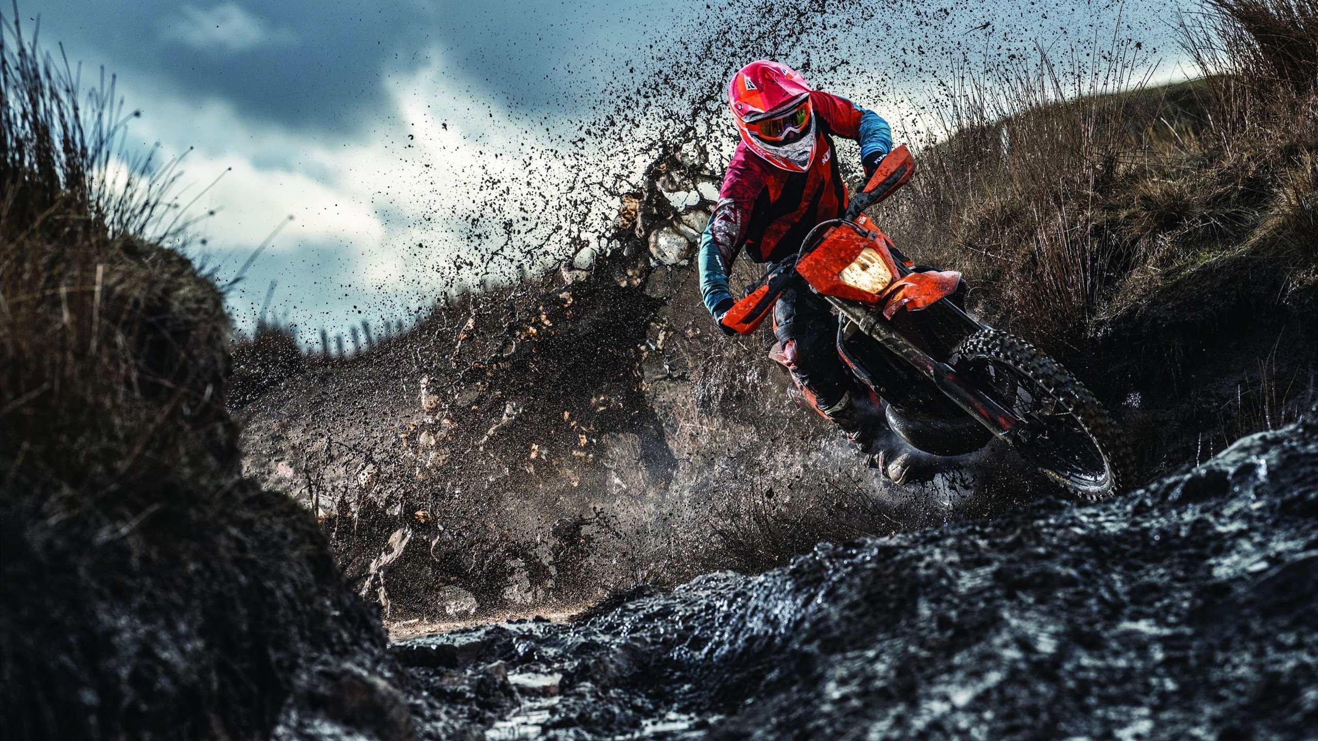 亲临现场：车迷的热情与激情展现