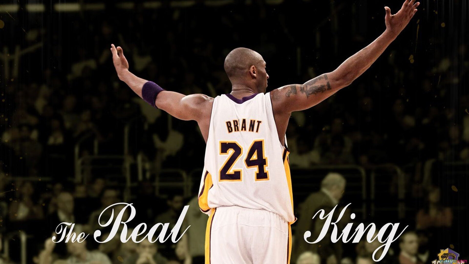 球场之外：运动员的生活故事，形容球场上的运动员的句子